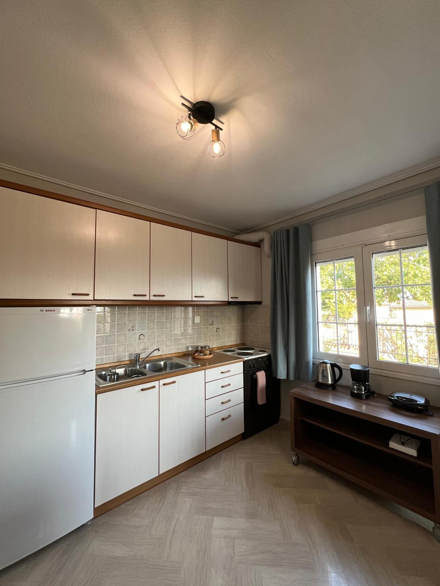 Aiolos Seaside Apartment Marathos  Exterior photo